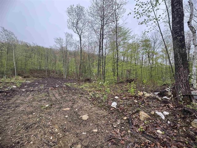 near 1537 Lake Dunmore Road Leicester, VT 05733 Property 3