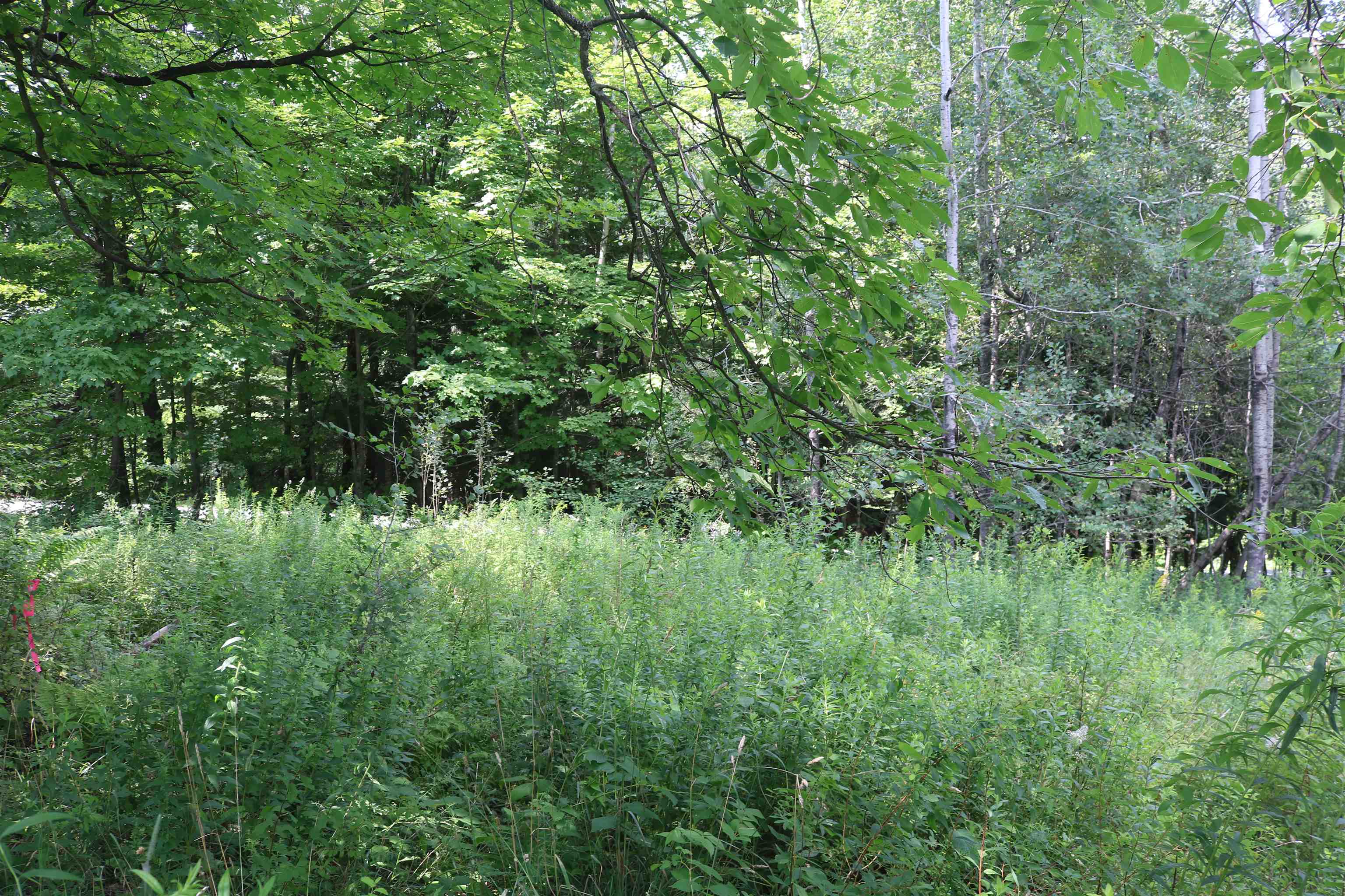 near 00 Brook Road Montgomery, VT 05470 Property 1