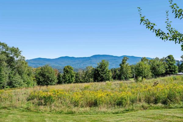 Single Family in Stowe VT