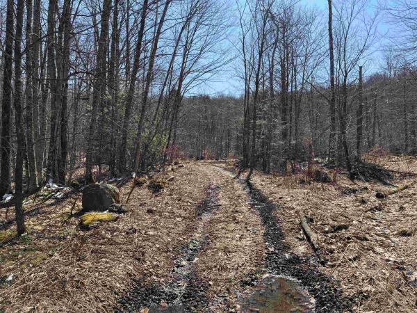 Lot 1 Marshall Road