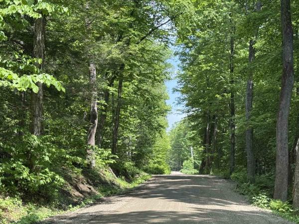 251 Phillips Hill Road