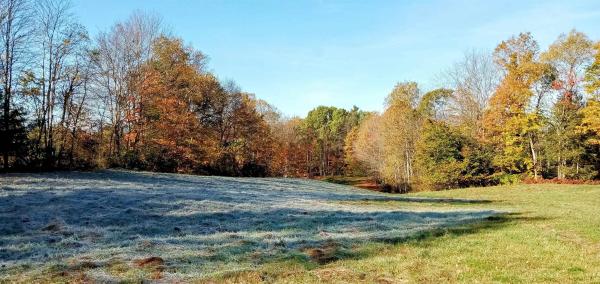 658 Lower Elmore Mt. Road
