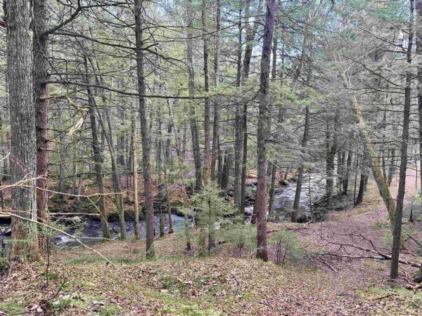 TBD Buck Hill Road
