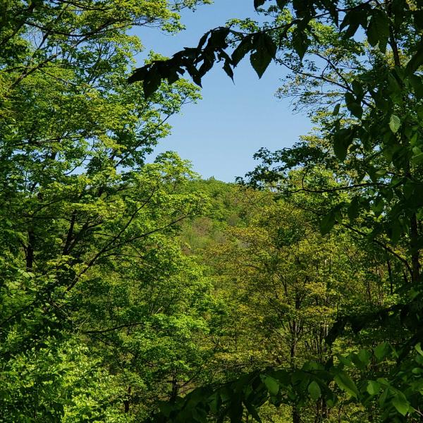 00 Beaver Meadow Road 00 Beaver Meadow Road