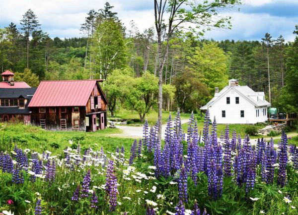 4669 Vermont Rte 100