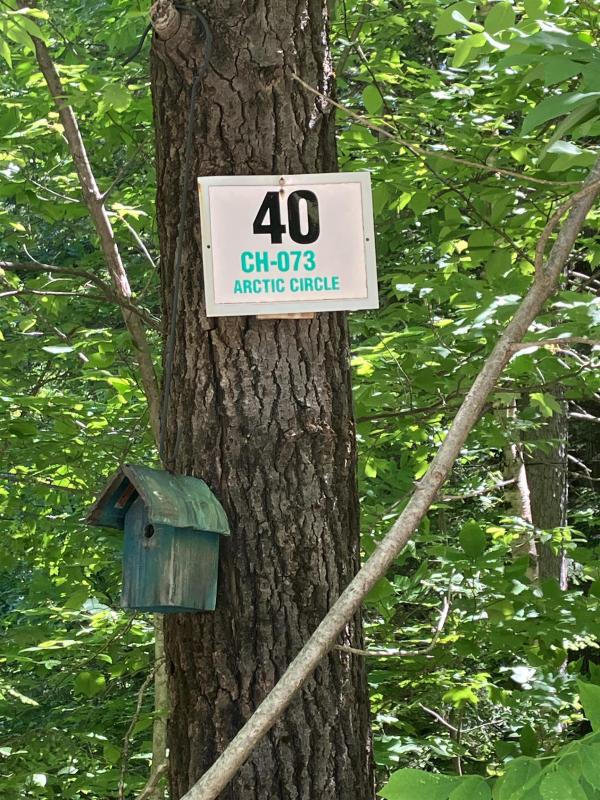 40 Arctic Circle