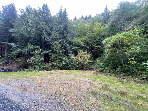 667 Hinkley Brook Road