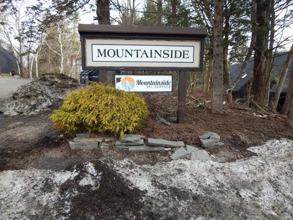 161 Mountainside Drive