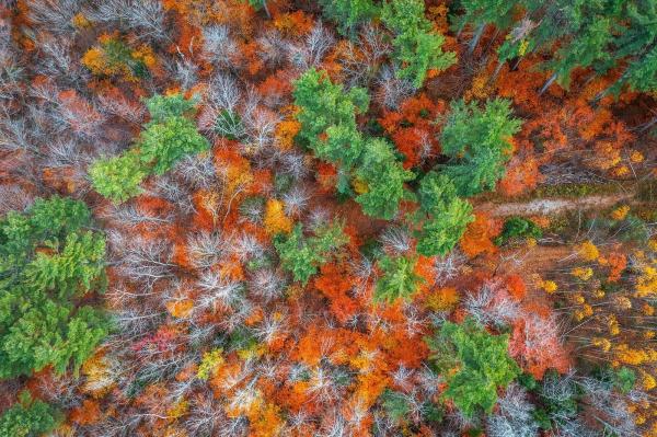 590 Howard Hill Road