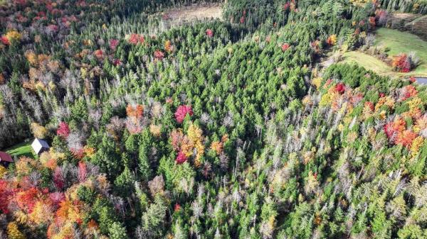 1021 Woods S Road 1021 Woods S Road