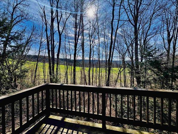 445 Old Quechee Road