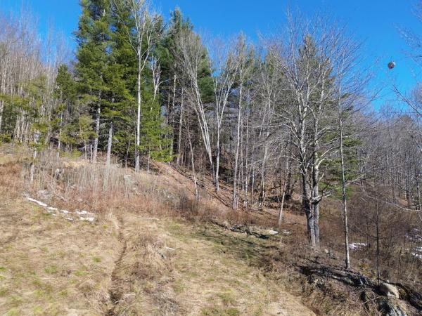 00 Bent Birch Lane