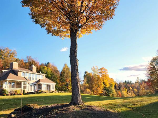 Single Family in Stowe VT