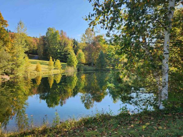 Single Family in Stowe VT