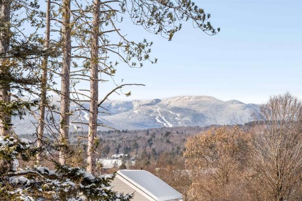 Single Family in Stowe VT