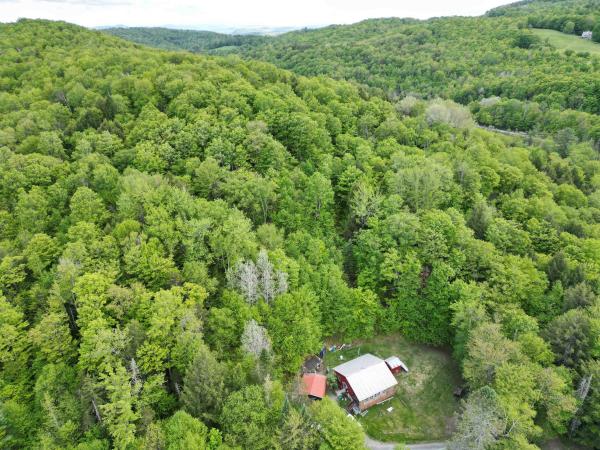 4823 Swamp Road