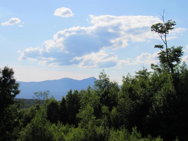 1232 Clark Mountain Road